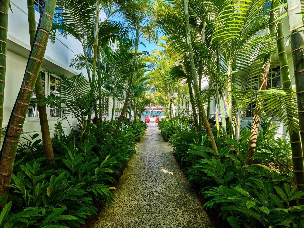 Axel Beach Miami-South Beach - Adults Only Miami Beach Ngoại thất bức ảnh